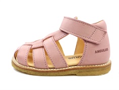 Angulus sandal make-up